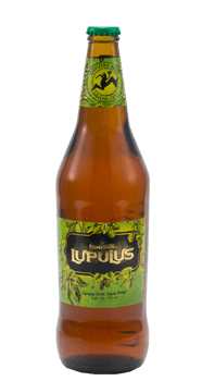 Lupulus710 Kross