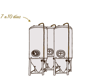 Ilustración Fermentación